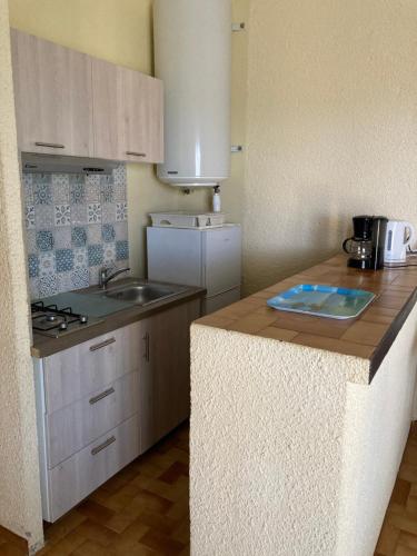 une cuisine avec un évier et un plan de travail dans l'établissement RESIDENCE PLAGE ET MAQUIS, à Solaro