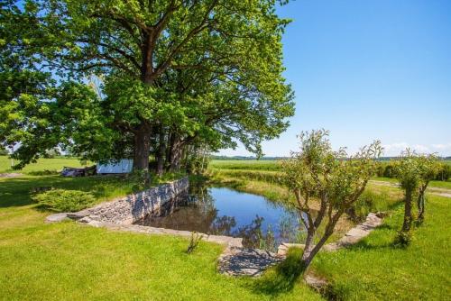a pond in the middle of a field with a tree at Chaloupka Větrník na samotě u lesa in Římov