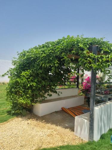 a bench with a hedge and flowers on it at Villa Nossa in Keur Goonde