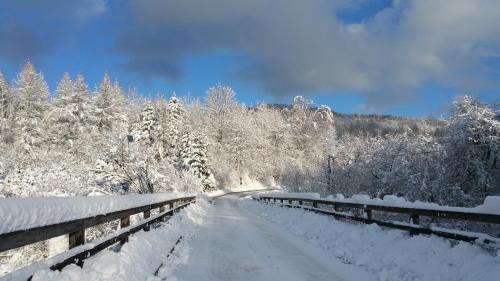 a snowy road with snow covered trees and a bridge at Dwerniczek 7 apartamenty in Dwerniczek