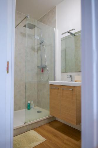 une salle de bain avec douche et lavabo dans l'établissement Joli studio avec terrasse - proche château - 2 personnes, à Angers