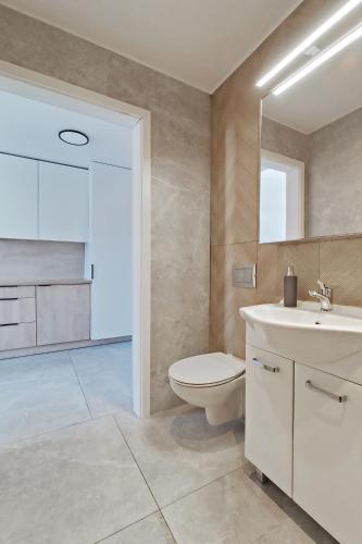 a bathroom with a toilet and a sink and a mirror at Fabryka Loft 3B # Nestapartamenty in Bielsko-Biała