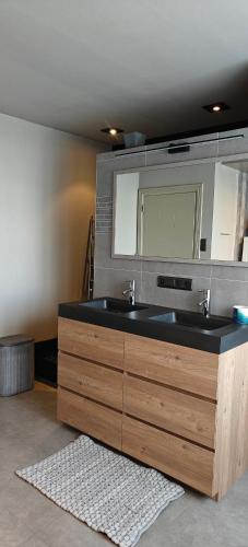 a bathroom with a sink and a mirror and a rug at holiday home Zonnestraal in Zonhoven