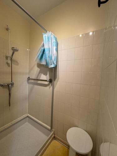 une salle de bain avec une douche avec des toilettes et un lavabo dans l'établissement StudiosMichel apt 14 terrasse thermes 400m à pied, à Cazaubon