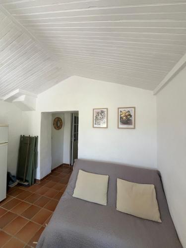 - un salon avec un canapé gris et des murs blancs dans l'établissement Charmant Provençal Cabanon à Montfort-sur-Argens, à Montfort-sur-Argens
