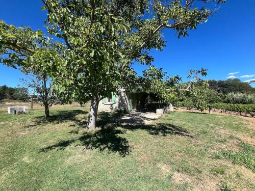Zahrada ubytování Charmant Provençal Cabanon à Montfort-sur-Argens