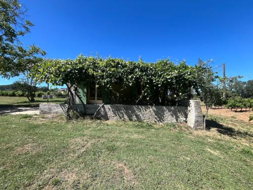 Zahrada ubytování Charmant Provençal Cabanon à Montfort-sur-Argens