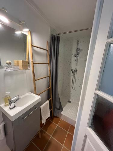 une salle de bain avec un lavabo et une douche dans l'établissement Charmant Provençal Cabanon à Montfort-sur-Argens, à Montfort-sur-Argens