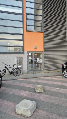 Jízda na kole v ubytování Aptartman - Kiki nebo okolí