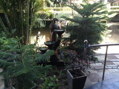 a person standing in a garden with plants at Sunshine Hotel in Trincomalee
