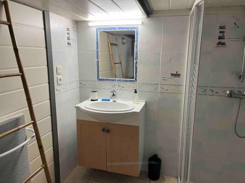 une salle de bain avec un lavabo, un miroir et une douche dans l'établissement Maison dans un village boiséprès de la plage, à La Celle-sous-Gouzon