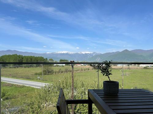 Paisaje cerca de este apartamento