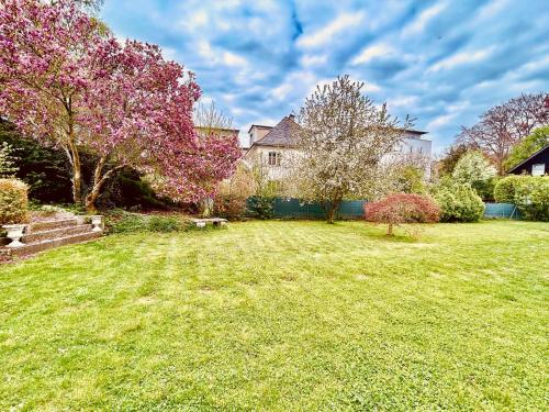Κήπος έξω από το Apartment am Stadtpark