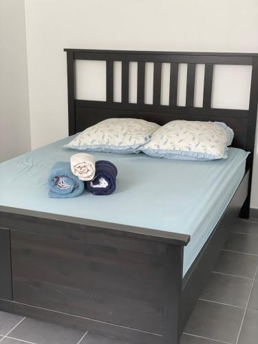 Un T2 tout confort spacieux - Résidence SJT