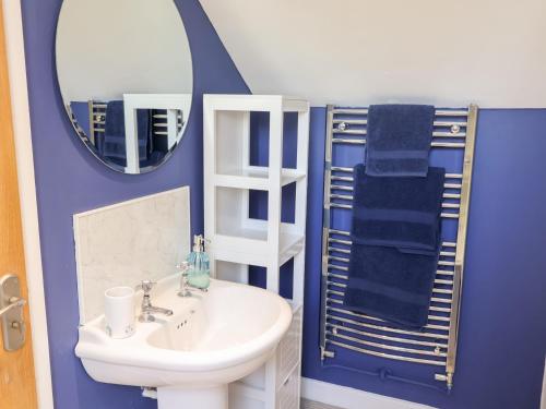 ein blaues Badezimmer mit Waschbecken und Spiegel in der Unterkunft High Bullen Cottage in Morecombelake