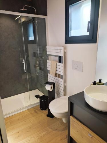 une salle de bain avec une douche, des toilettes et un lavabo dans l'établissement L'Ermitage - L'écolodge des Monts des Flandres - Au coeur de 800m2 de jardin privé, à Saint-Jans-Cappel