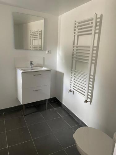 une salle de bain avec un lavabo et un miroir et des toilettes dans l'établissement Un T2 tout confort spacieux - Résidence SJT, à Aleçon