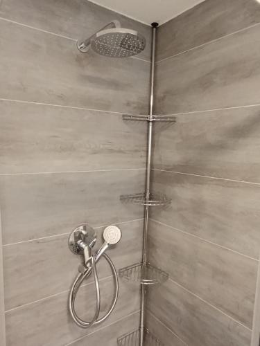 a shower with a shower head in a bathroom at Ferienwohnung Mergel in Black Forest in Zell im Wiesental