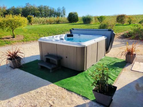 a hot tub on a patch of grass with two plants at Gîte Chez Cheynaud in Celles