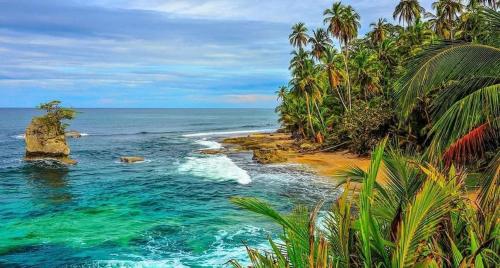 a beach with palm trees and the ocean at Hotel Boutique D Angelo in Manzanillo