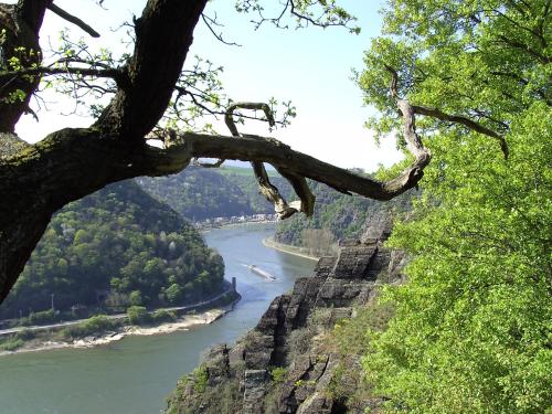 a view of the allegheny river from a tree at Peak11 Fewo- Panorama View Lahnstein Pool & Sauna in Lahnstein