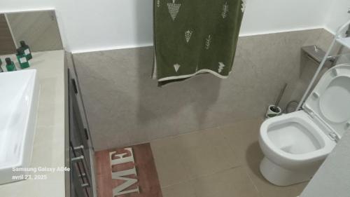 a bathroom with a toilet and a green towel at Villasjohnclair in Eau Vanée