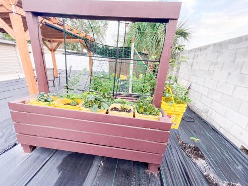 a planter with plants in it on a deck at Beautiful room in prime location in Pinellas Park