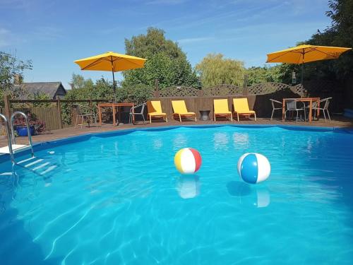 a swimming pool with two beach balls in the water at Lily Cottage in Marldon