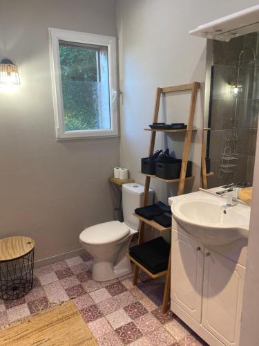 a bathroom with a toilet and a sink at Gîte avec spa in Saint-Avit-Sénieur