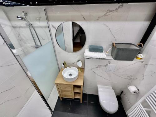 La salle de bains est pourvue d'un miroir, d'un lavabo et de toilettes. dans l'établissement Douce Parenthèse, à Roanne