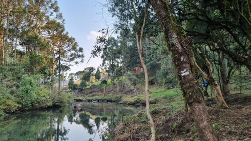 a river with trees on the side of it at Pousada Luar dos Campos in Bom Jardim da Serra