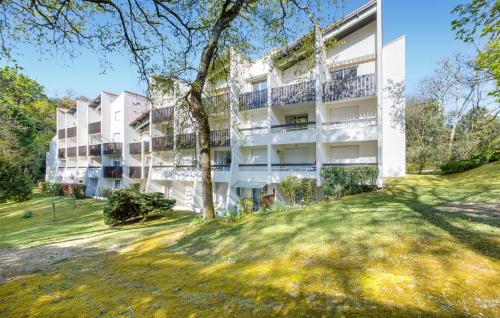 Pet Friendly Apartment