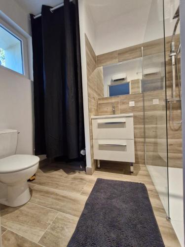 une salle de bain avec toilettes et douche en verre dans l'établissement Studio la Poulette au MAS DU COQ, à Saint-Étienne-du-Grès