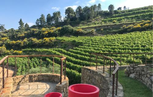 ドルチェアックアにある3 Bedroom Amazing Home In Dolceacquaのワイナリーの階段から見たブドウ園の眺め