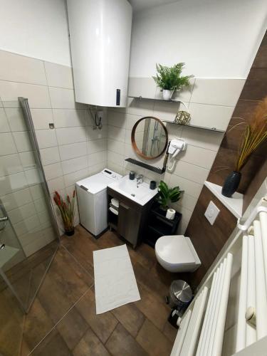Koupelna v ubytování Apartma Tomažič