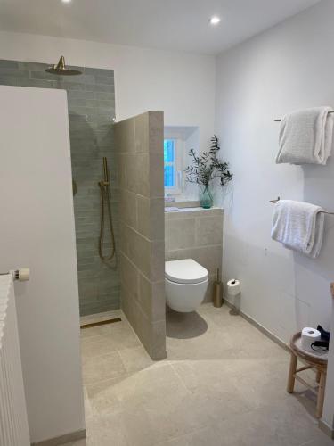 a bathroom with a shower and a toilet and a sink at Le Mas de Caroline in Gargas
