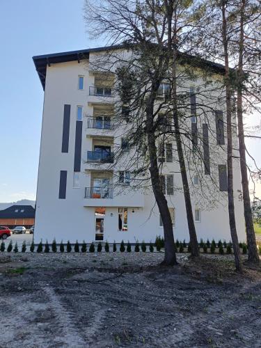 a white building with two trees in front of it at Arinis Class in Gura Humorului