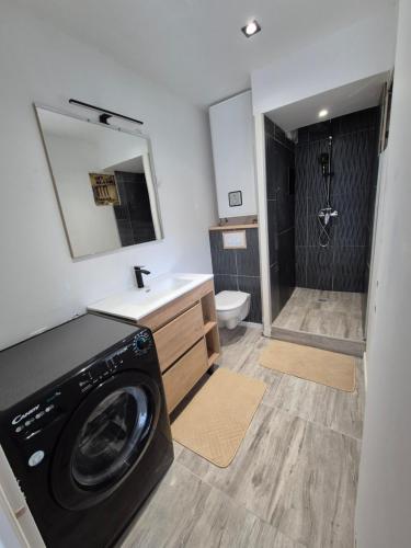 une machine à laver dans une salle de bain avec douche dans l'établissement Appartement proche cure thermale, à Bains-les-Bains