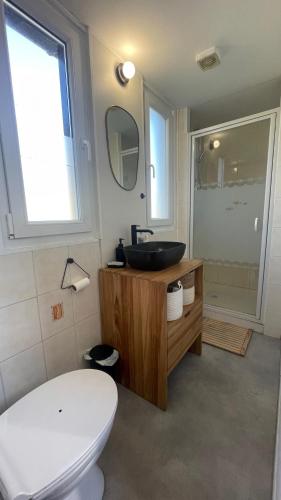 une salle de bain avec un lavabo, des toilettes et un miroir dans l'établissement Ti TITE- jardin clos - plage à pieds, à Crozon