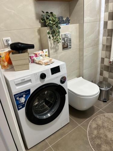 Koupelna v ubytování Apartman TiHana