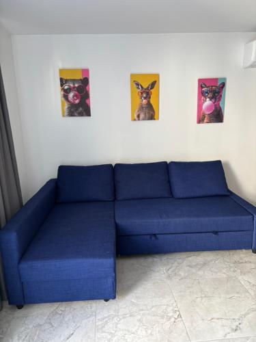 Χώρος καθιστικού στο Luca Apts Napa