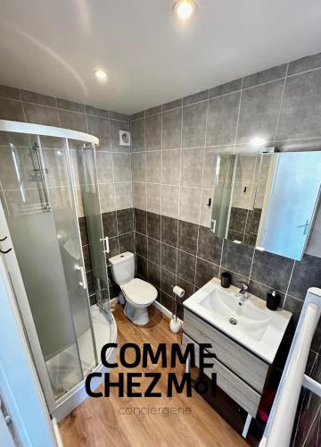 une salle de bain avec toilettes et lavabo dans l'établissement Studio Le Petit Placieux, Garage Gratuit sur place, à Nancy