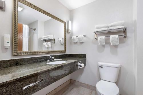 a bathroom with a sink and a mirror and a toilet at Quality Inn & Suites Fort Madison near Hwy 61 in Fort Madison