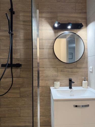 une salle de bain avec un lavabo et un miroir dans l'établissement Appartement Quai de Bosc, à Sète