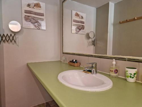 une salle de bain avec un lavabo et un miroir dans l'établissement Gite de Montrepos - Ancien Presbytère XVIIe siècle, à Estaing