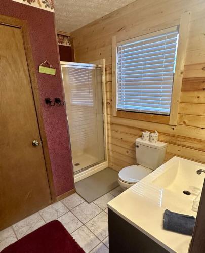 a bathroom with a toilet and a shower and a sink at Mystical Haven Honeymoon Cabin in Sevierville