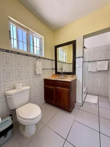 a bathroom with a toilet and a sink and a mirror at Hotel Al Mare in Santa Cruz de Barahona