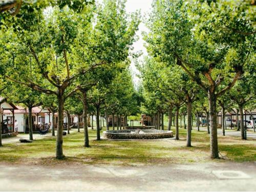 a park with a fountain in the middle of trees at Rustic Mountain Retreat in La Puebla de Roda