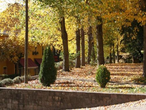 a park with trees and leaves on the ground at Rustic Mountain Retreat in La Puebla de Roda