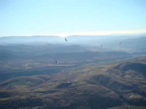 a group of birds flying in the sky over mountains at Tranquil Aragonese Retreat in La Puebla de Roda